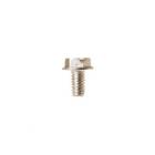 GE Part# WR1X1591 Screw (OEM)