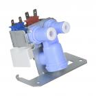 Hotpoint CSH22GRTAWW Dual Water Inlet Valve Kit - Genuine OEM