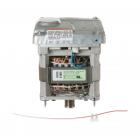 GE GJRE5500K0WW Motor and Inverter - Genuine OEM