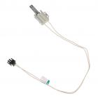 GE JGB870DET2BB Burner Igniter - Genuine OEM