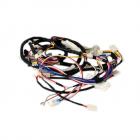 Electrolux EFME517STT0 Wiring Harness