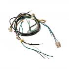 Electrolux EIDW6305GB1A Wire Harness (Frame) - Genuine OEM