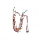 Electrolux EWMED6CHIW0 Dryer Wire Harness - Genuine OEM