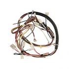 Frigidaire FDBB4365FB2 Wire Harness - Genuine OEM