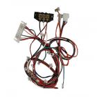 Frigidaire FLSE60RGS2 Main LCD Wiring Harness - Genuine OEM