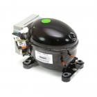 Frigidaire FRT18L4JBM Compressor - Genuine OEM