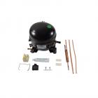 Frigidaire FFU17F5HWS Compressor Kit Genuine OEM