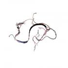 Frigidaire FGBD2434PW5A Main Wire Harness - Genuine OEM