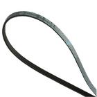 GE DBL333GB0CC Dryer Drive Belt - Genuine OEM