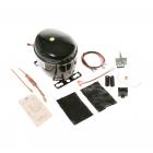 GE GFE26GGKEBB Compressor Kit - Genuine OEM