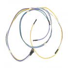 GE JGBP27BEW1WH Wire Harness (High Voltage) - Genuine OEM