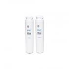 GE PSH25PSWCSS Denali Pure Water Filter (2 Pack) - Genuine OEM