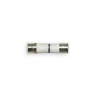 GE SCBC2001CSS001 Replacement Line Fuse - Genuine OEM