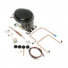 GE TBE21JATMRWH Compressor Kit (R-12) - Genuine OEM