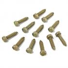 GE Part# WE2X280D Screw (OEM)