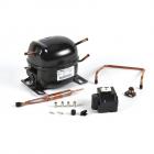 GE ZDI15CWWG Compressor Kit - Genuine OEM