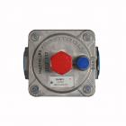 GE ZGU484NGP2SS Pressure Regulator