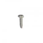 GE BSS25JFRFWW Phillips Screw (8-18 x 5/8in) - Genuine OEM