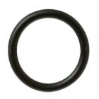 GE CDT835SSJ5SS Gasket Plug - Genuine OEM