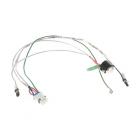 GE DFE28JSKGSS Heater Harness & Defrost Thermostat - Genuine OEM