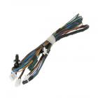 GE GDF520PGD2CC Door Wire Harness Assembly - Genuine OEM