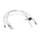 GE GFD28GSLCSS Heater Harness & Defrost Thermostat - Genuine OEM