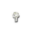 GE GSG20IEMCFWW Screw - Genuine OEM