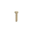 GE JGBP87BEK4BB Torx Mounting Screw - Genuine OEM