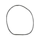 GE ZET938SM3SS Oven Door Gasket - Genuine OEM