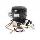 Hotpoint CSX25MRCGWW Compressor Kit (EGYS60) Genuine OEM