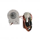 Jenn-Air JFX2597AEM2 Evaporator Fan Motor - Genuine OEM