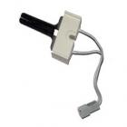 Kelvinator DGT400F2D Igniter Assembly - Genuine OEM