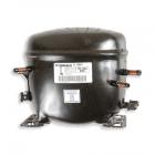 Kelvinator FGW240JN1W Compressor R12 With Electricals - Genuine OEM