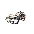 Samsung WF45H6300AW/A2-00 Main Wire Harness - Genuine OEM