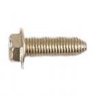 GE Part# WB1X1116 Screw (OEM)