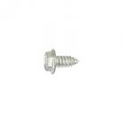 GE Part# WH2X1217 Screw (OEM)