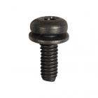 Whirlpool Part# WPW10373929 Screw (OEM)