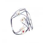 Amana AGR5735QDB Spark Igniter Wire Harness - Genuine OEM