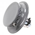 Amana ALY1680ADQ Burner Head (Gray) - Genuine OEM