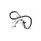 Maytag MVWB755YQ0 Main Wire Harness - Genuine OEM