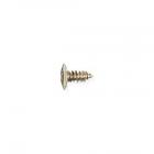 GE Part# WR01X10065 Screw (OEM) 1032 GXTT FLP 595 S