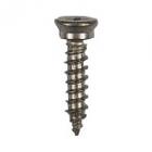 GE Part# WR01X10483 Screw (OEM) 1016 AB PL FLP 3/4