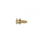 GE Part# WR1X1755 Screw (OEM)